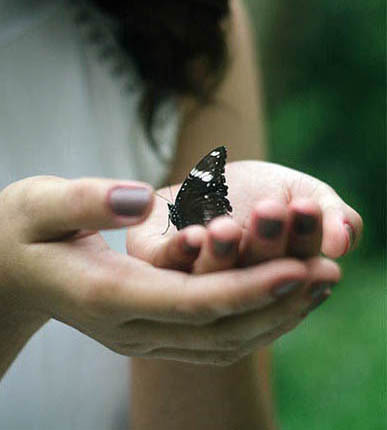 Source healing reiki