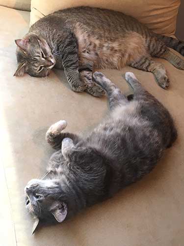 Portia and Titus