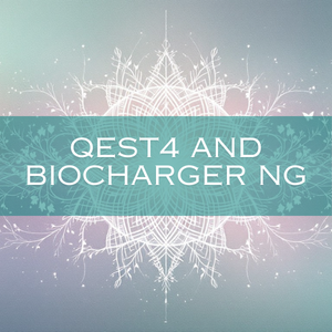 QEST4 & BioCharger NG